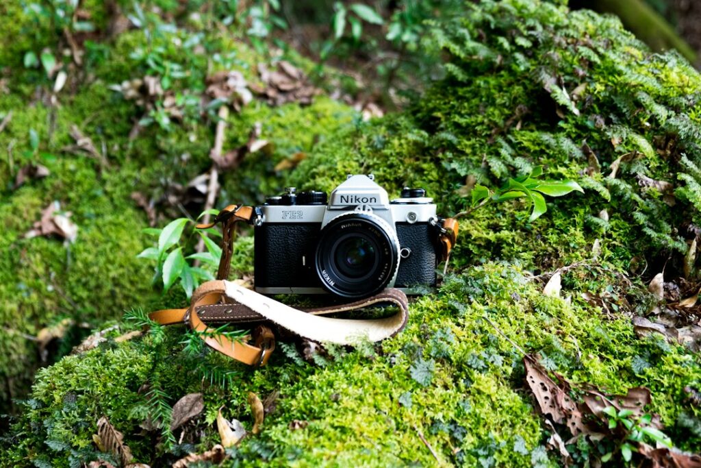 Nikon camera on mossy forest floor.