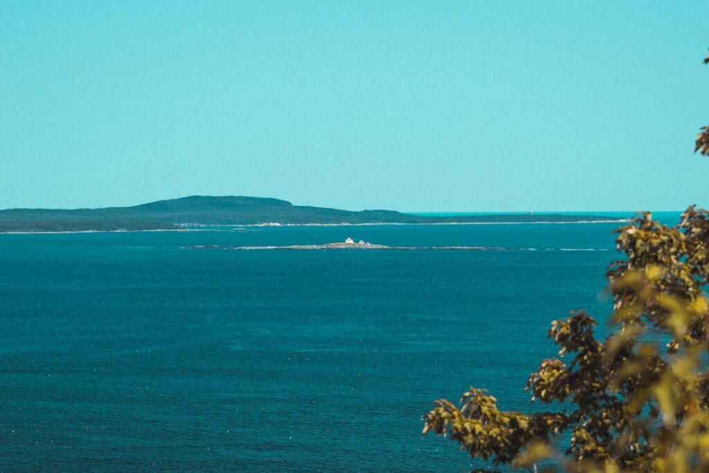 Scenic ocean view with distant island and foliage.