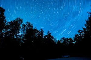Star trails over silhouetted trees at night.